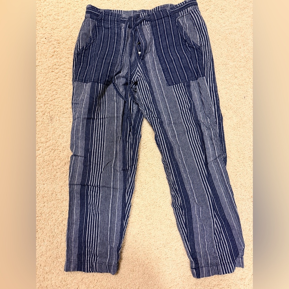 GAP women’s  Blue Striped chino Pants